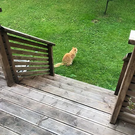 Bed And Breakfast